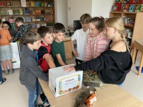 2. Klasse gestaltete Waldmuseum mit spannenden Mitmach-Stationen
