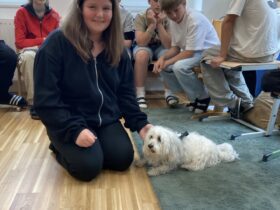 Tierisch spannend: Haustiertag an der Mittelschule Weitersfeld